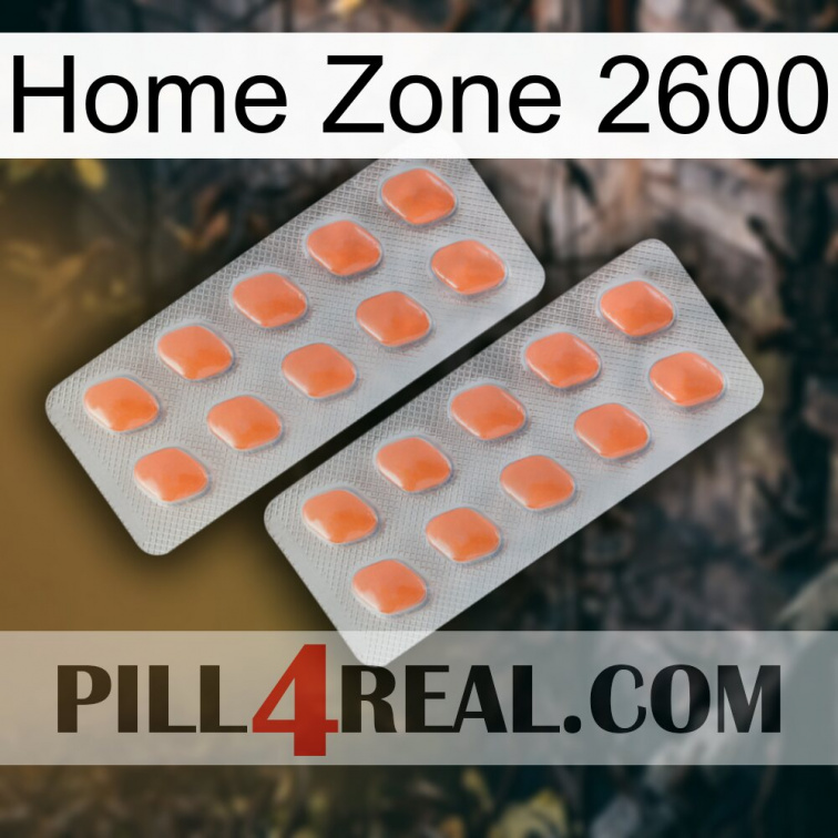 Home Zone 2600 27